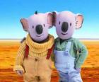 Frank ve Buster, koala kardeşler